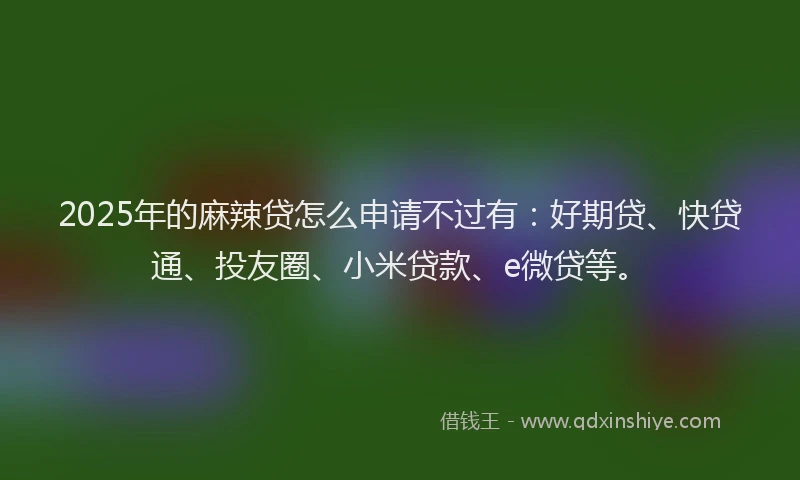 2025年的麻辣贷怎么申请不过有：好期贷、快贷通、投友圈、小米贷款、e微贷等。