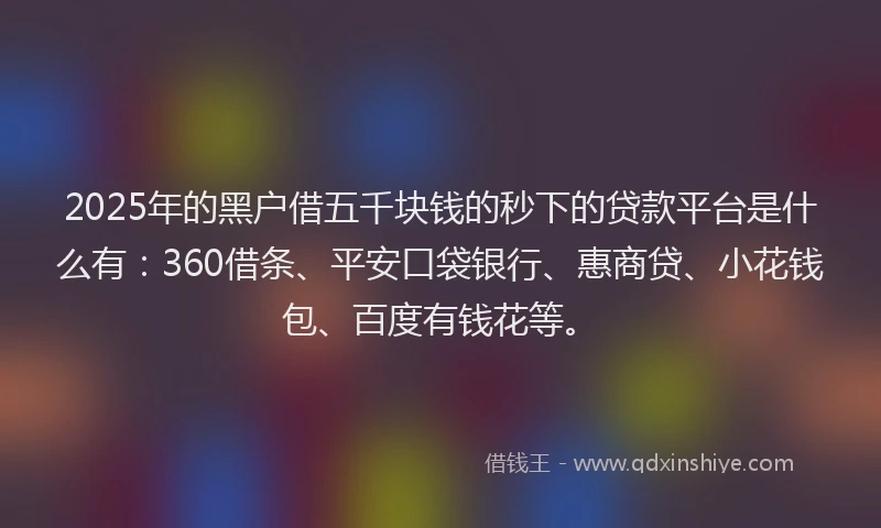 2025年的黑户借五千块钱的秒下的贷款平台是什么有：360借条、平安口袋银行、惠商贷、小花钱包、百度有钱花等。