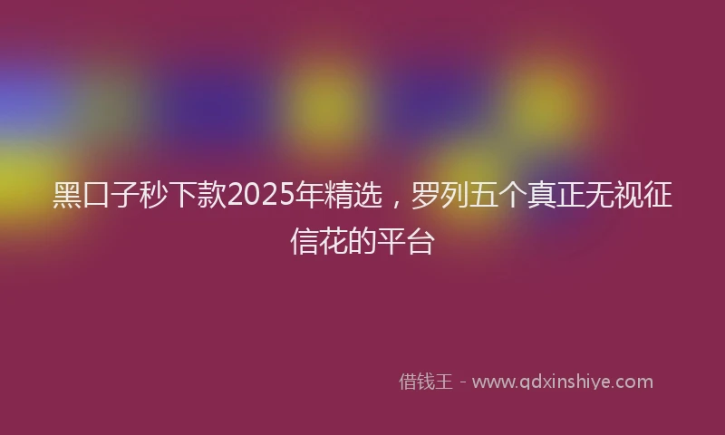黑口子秒下款2025年精选，罗列五个真正无视征信花的平台