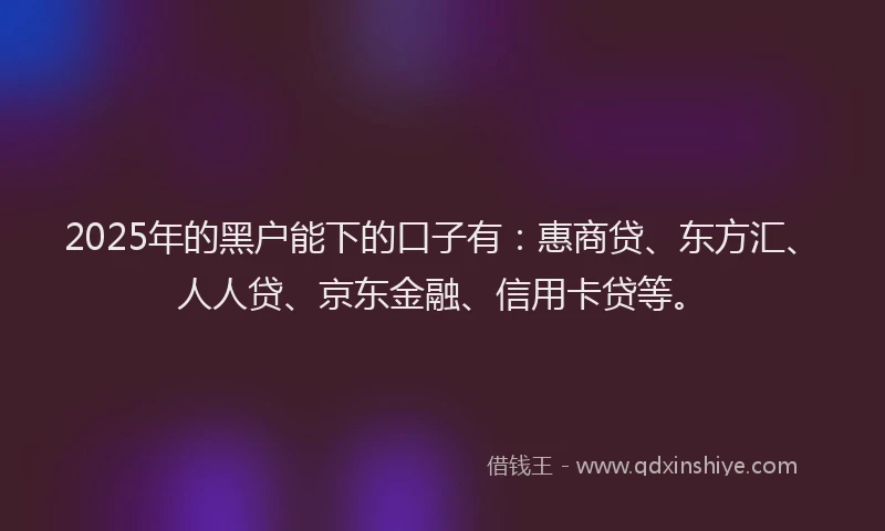 2025年的黑户能下的口子有：惠商贷、东方汇、人人贷、京东金融、信用卡贷等。
