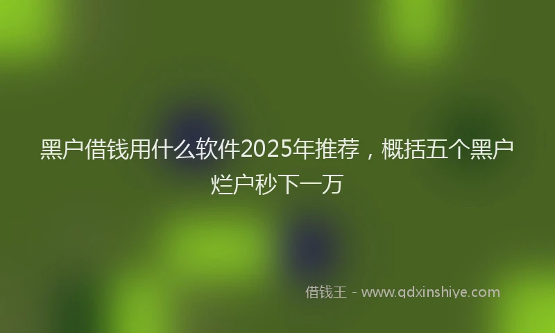 黑户借钱用什么软件2025年推荐，概括五个黑户烂户秒下一万