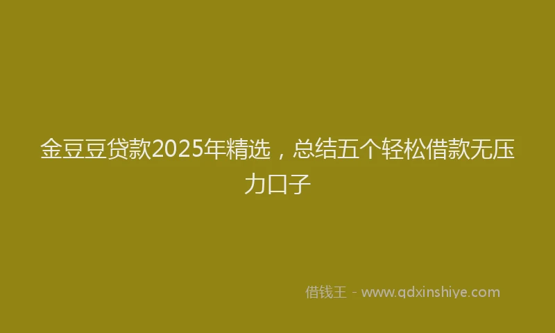 金豆豆贷款2025年精选，总结五个轻松借款无压力口子