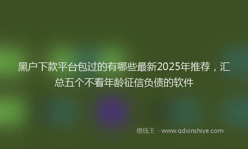 黑户下款平台包过的有哪些最新2025年推荐，汇总五个不看年龄征信负债的软件