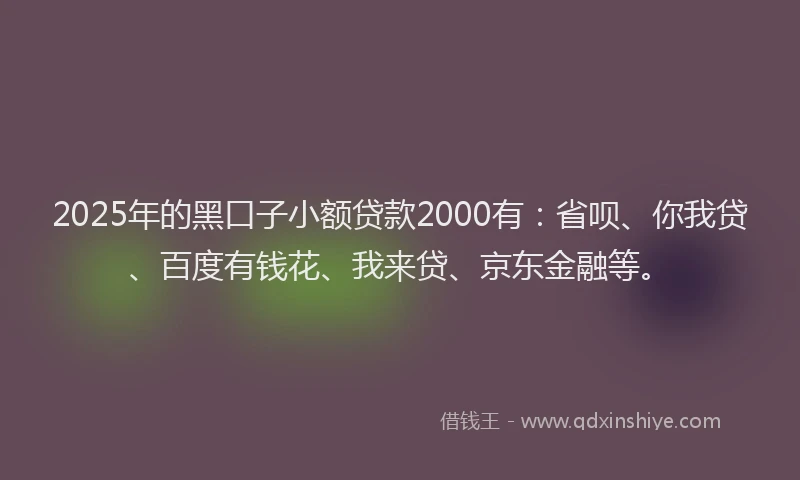 2025年的黑口子小额贷款2000有：省呗、你我贷、百度有钱花、我来贷、京东金融等。