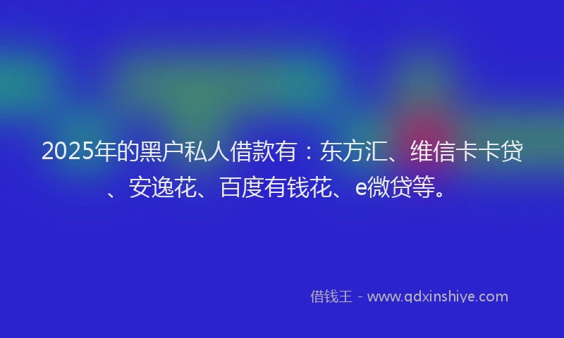 2025年的黑户私人借款有：东方汇、维信卡卡贷、安逸花、百度有钱花、e微贷等。
