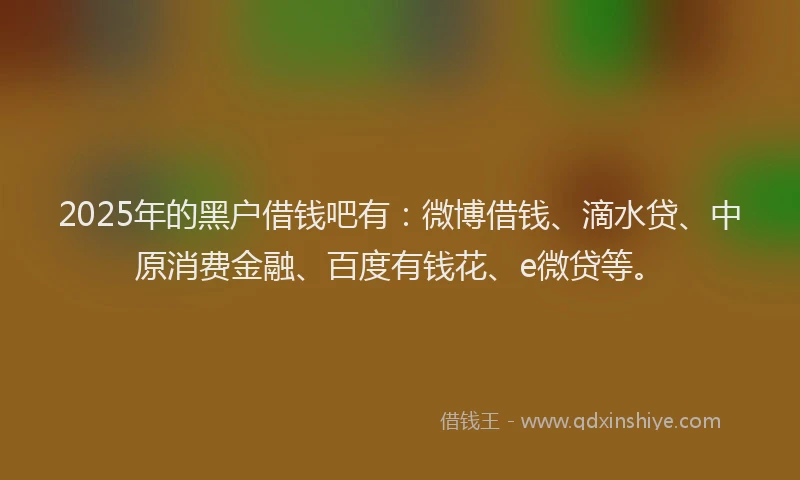 2025年的黑户借钱吧有：微博借钱、滴水贷、中原消费金融、百度有钱花、e微贷等。