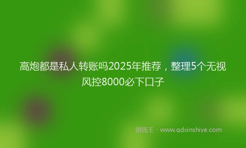 高炮都是私人转账吗2025年推荐，整理5个无视风控8000必下口子