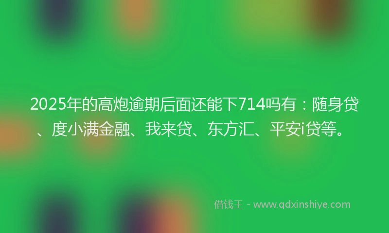 2025年的高炮逾期后面还能下714吗有：随身贷、度小满金融、我来贷、东方汇、平安i贷等。