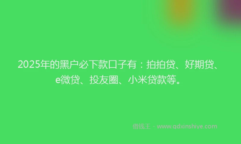 2025年的黑户必下款口子有：拍拍贷、好期贷、e微贷、投友圈、小米贷款等。