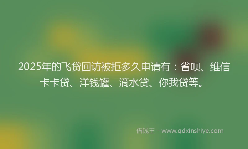 2025年的飞贷回访被拒多久申请有：省呗、维信卡卡贷、洋钱罐、滴水贷、你我贷等。