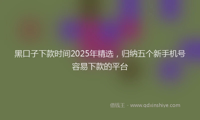 黑口子下款时间2025年精选，归纳五个新手机号容易下款的平台
