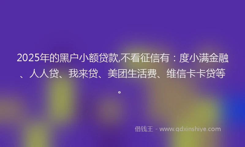 2025年的黑户小额贷款,不看征信有：度小满金融、人人贷、我来贷、美团生活费、维信卡卡贷等。