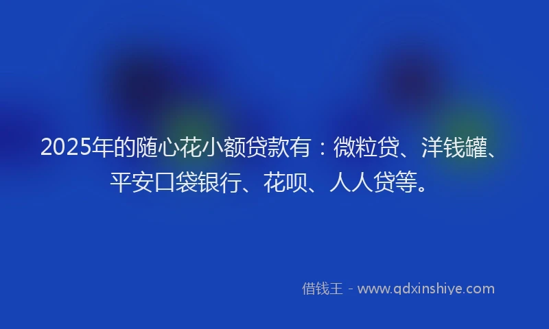 2025年的随心花小额贷款有：微粒贷、洋钱罐、平安口袋银行、花呗、人人贷等。