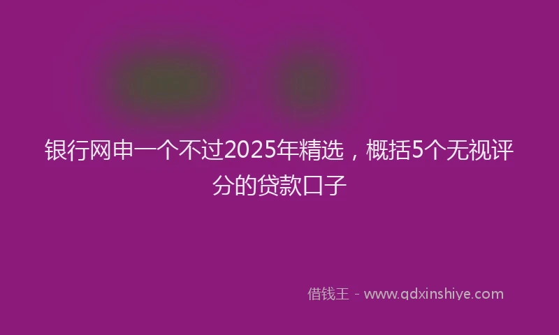 银行网申一个不过2025年精选，概括5个无视评分的贷款口子