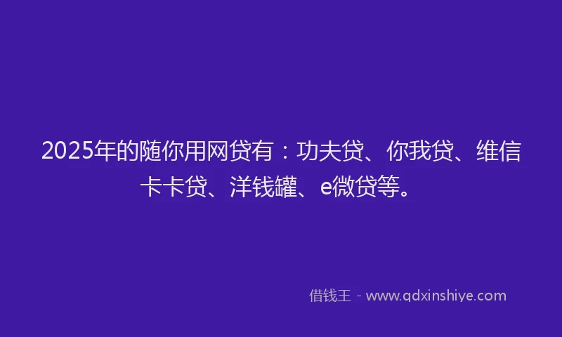 2025年的随你用网贷有：功夫贷、你我贷、维信卡卡贷、洋钱罐、e微贷等。