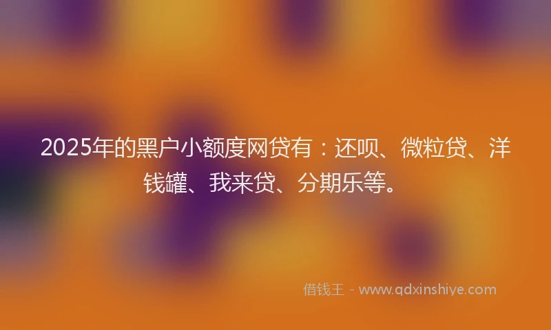 2025年的黑户小额度网贷有：还呗、微粒贷、洋钱罐、我来贷、分期乐等。