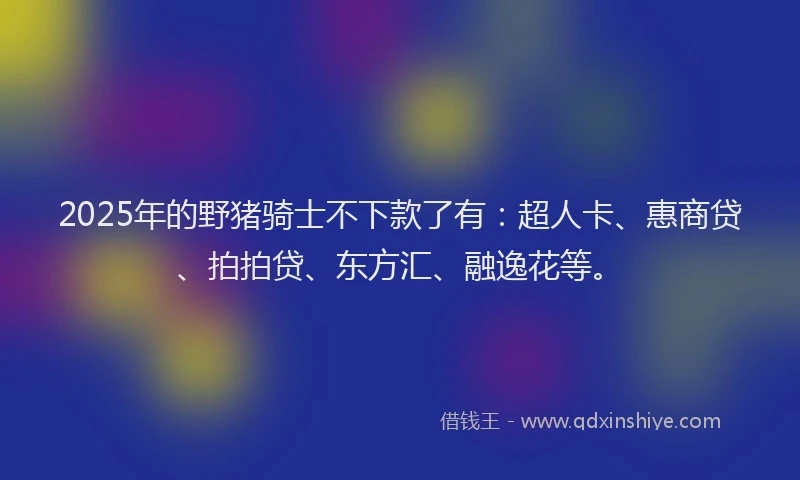 2025年的野猪骑士不下款了有：超人卡、惠商贷、拍拍贷、东方汇、融逸花等。