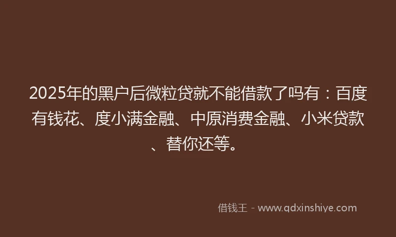 2025年的黑户后微粒贷就不能借款了吗有：百度有钱花、度小满金融、中原消费金融、小米贷款、替你还等。
