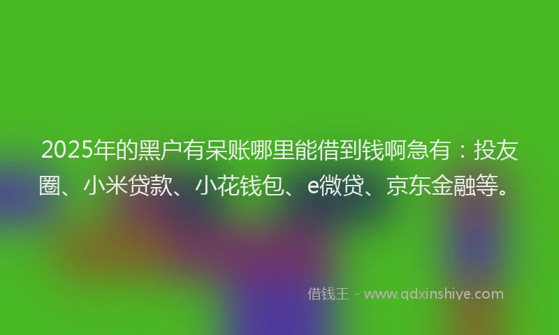 2025年的黑户有呆账哪里能借到钱啊急有：投友圈、小米贷款、小花钱包、e微贷、京东金融等。