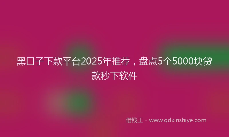 黑口子下款平台2025年推荐，盘点5个5000块贷款秒下软件