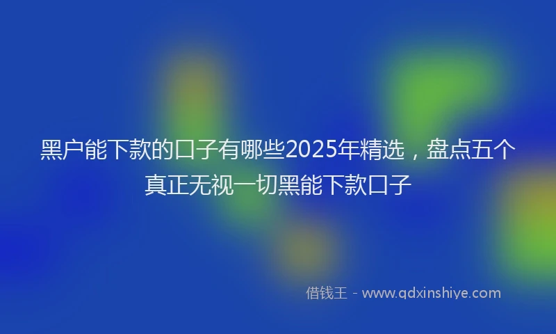 黑户能下款的口子有哪些2025年精选，盘点五个真正无视一切黑能下款口子