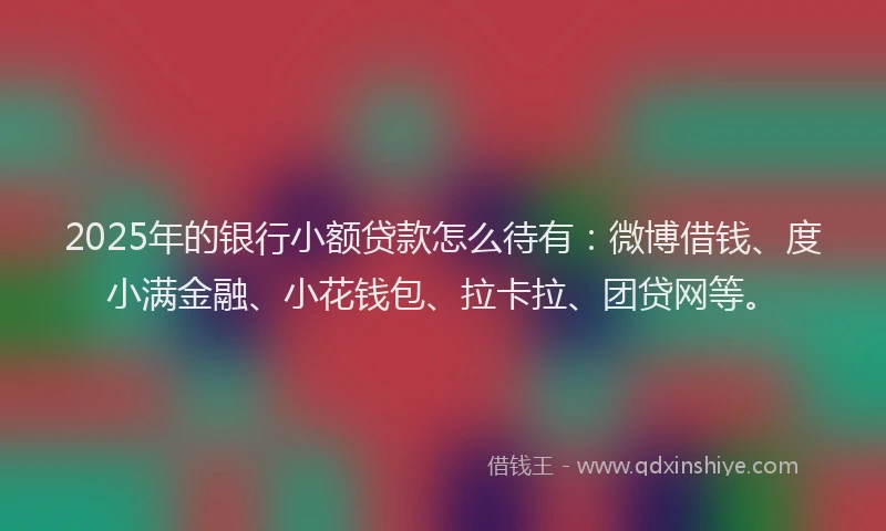 2025年的银行小额贷款怎么待有：微博借钱、度小满金融、小花钱包、拉卡拉、团贷网等。
