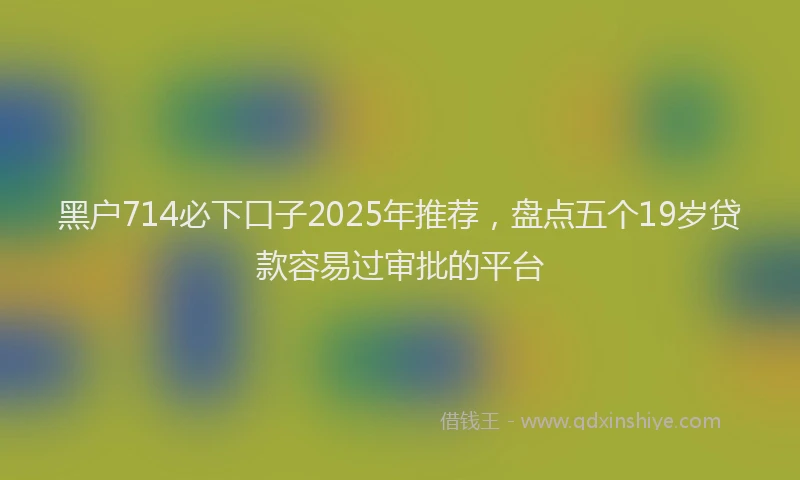黑户714必下口子2025年推荐，盘点五个19岁贷款容易过审批的平台