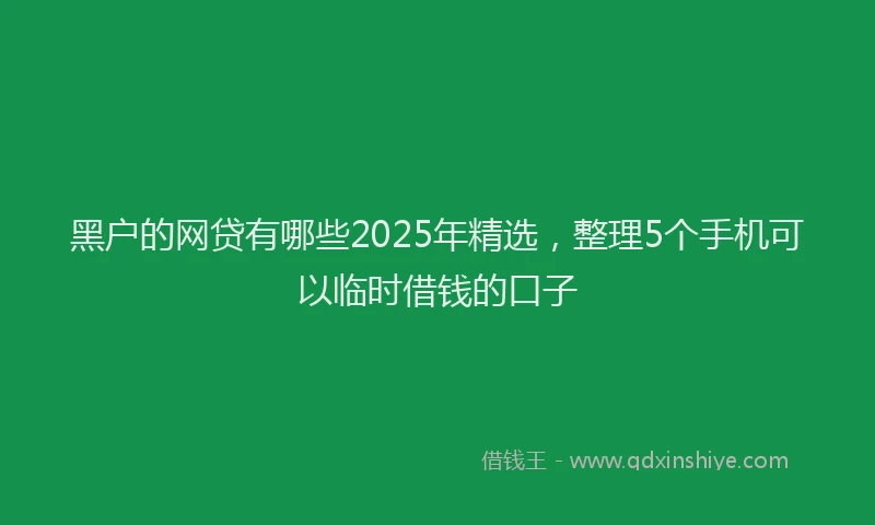 黑户的网贷有哪些2025年精选，整理5个手机可以临时借钱的口子