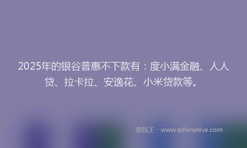 2025年的银谷普惠不下款有：度小满金融、人人贷、拉卡拉、安逸花、小米贷款等。
