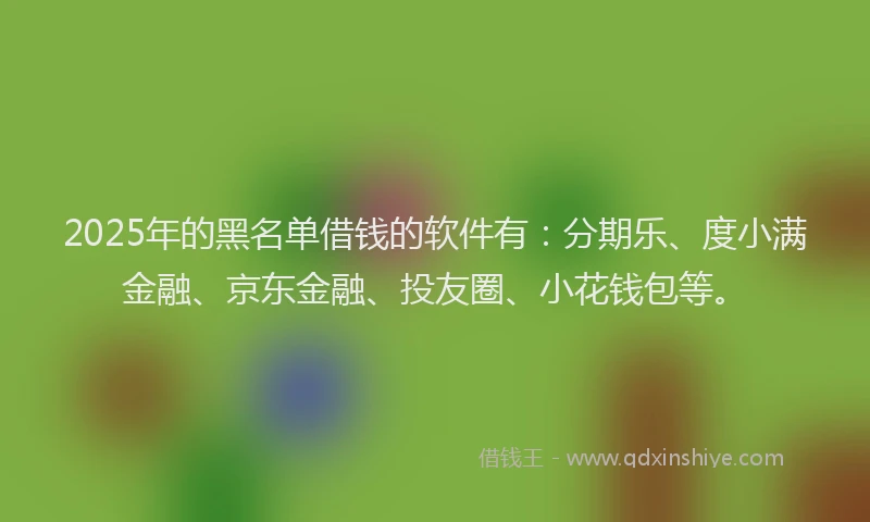 2025年的黑名单借钱的软件有：分期乐、度小满金融、京东金融、投友圈、小花钱包等。