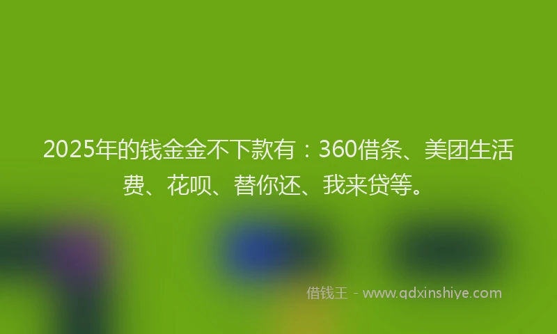 2025年的钱金金不下款有：360借条、美团生活费、花呗、替你还、我来贷等。