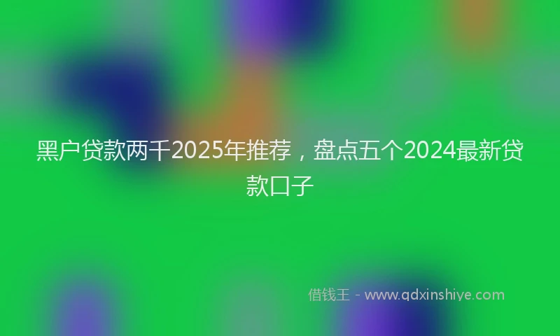 黑户贷款两千2025年推荐，盘点五个2024最新贷款口子