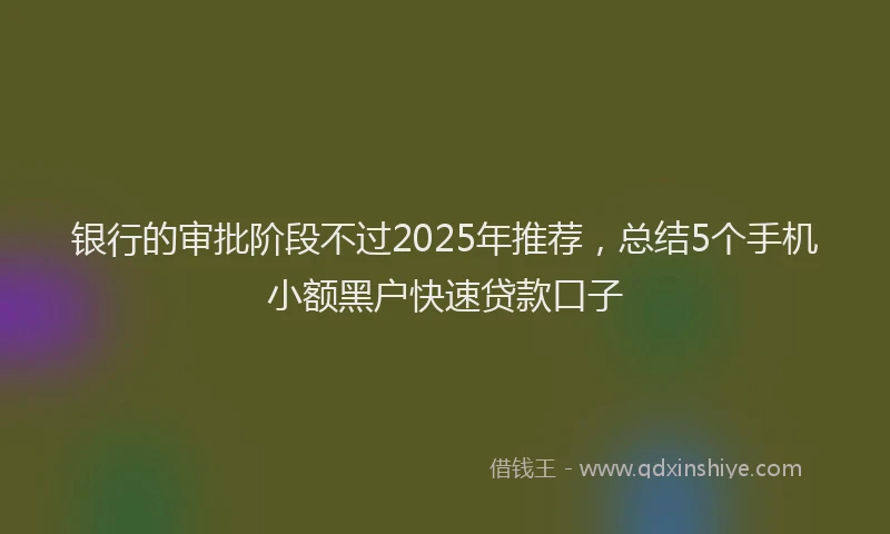 银行的审批阶段不过2025年推荐，总结5个手机小额黑户快速贷款口子