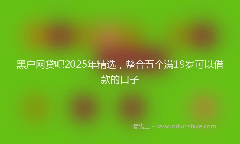 黑户网贷吧2025年精选，整合五个满19岁可以借款的口子