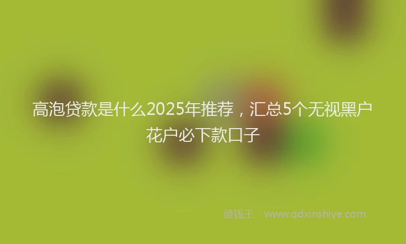高泡贷款是什么2025年推荐，汇总5个无视黑户花户必下款口子
