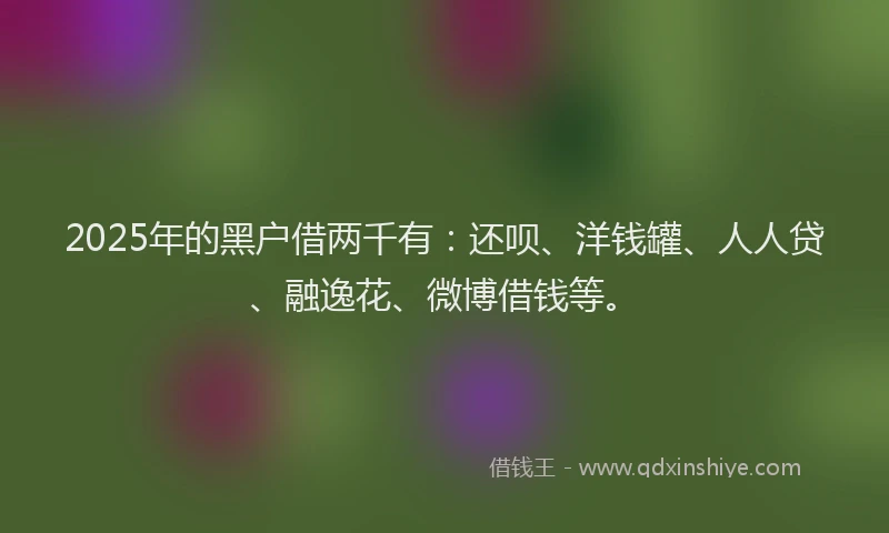 2025年的黑户借两千有：还呗、洋钱罐、人人贷、融逸花、微博借钱等。