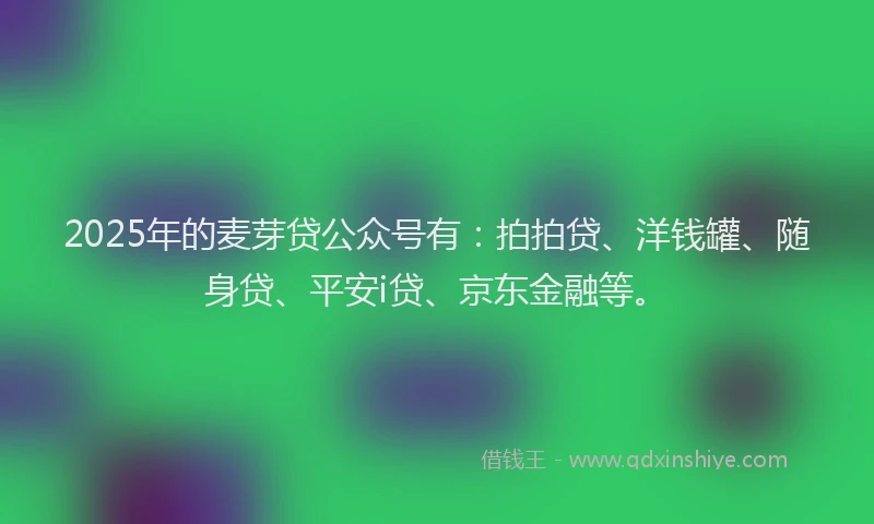 2025年的麦芽贷公众号有：拍拍贷、洋钱罐、随身贷、平安i贷、京东金融等。