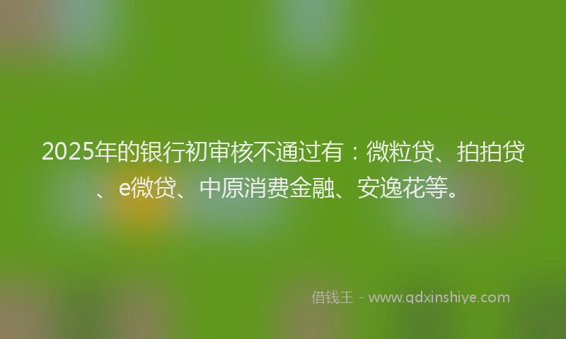 2025年的银行初审核不通过有：微粒贷、拍拍贷、e微贷、中原消费金融、安逸花等。