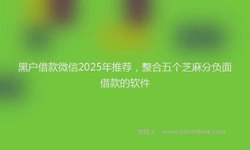 黑户借款微信2025年推荐，整合五个芝麻分负面借款的软件