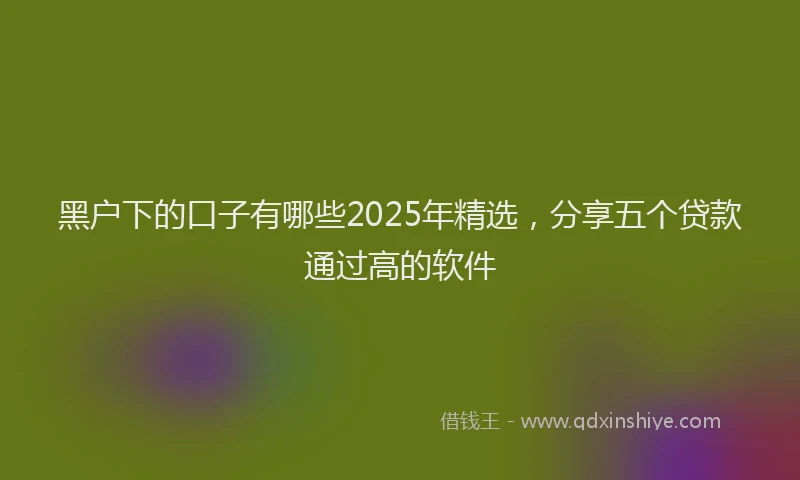 黑户下的口子有哪些2025年精选，分享五个贷款通过高的软件