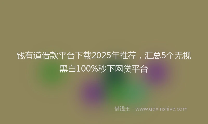 钱有道借款平台下载2025年推荐，汇总5个无视黑白100%秒下网贷平台