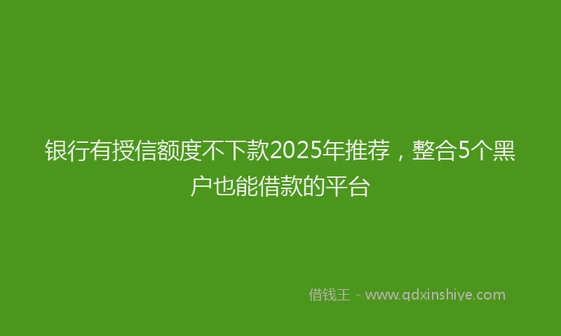 银行有授信额度不下款2025年推荐，整合5个黑户也能借款的平台