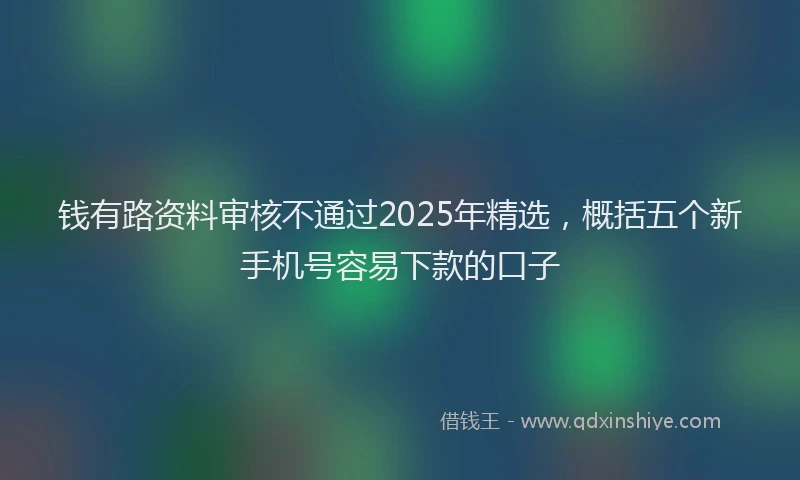 钱有路资料审核不通过2025年精选，概括五个新手机号容易下款的口子