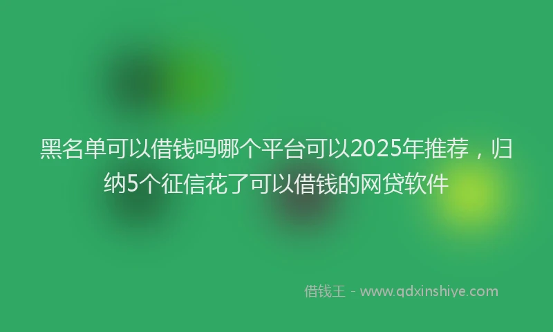 黑名单可以借钱吗哪个平台可以2025年推荐，归纳5个征信花了可以借钱的网贷软件