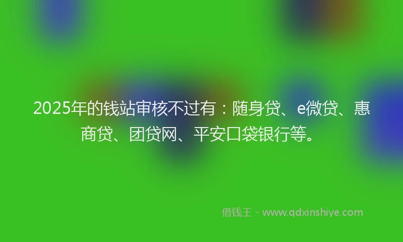 2025年的钱站审核不过有：随身贷、e微贷、惠商贷、团贷网、平安口袋银行等。