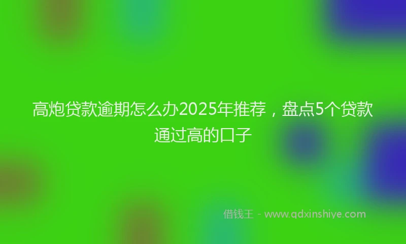 高炮贷款逾期怎么办2025年推荐，盘点5个贷款通过高的口子