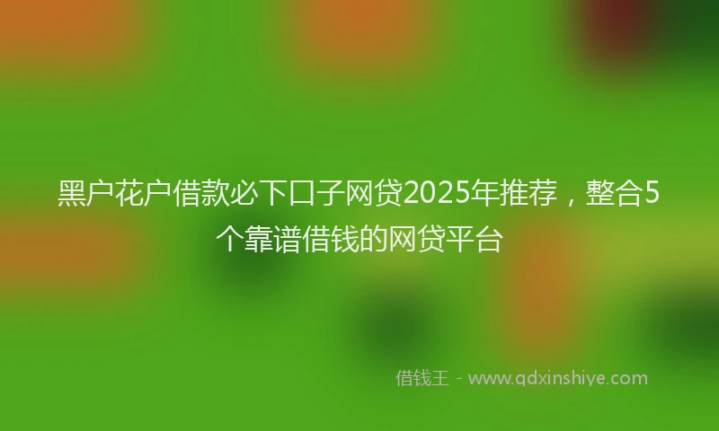 黑户花户借款必下口子网贷2025年推荐，整合5个靠谱借钱的网贷平台