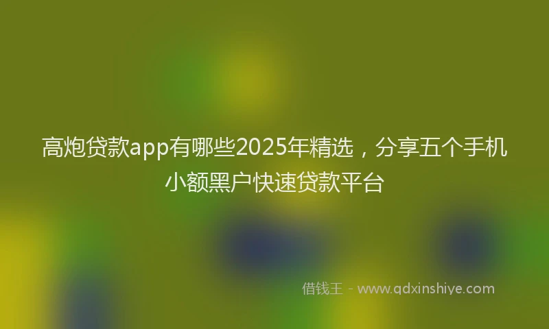 高炮贷款app有哪些2025年精选，分享五个手机小额黑户快速贷款平台