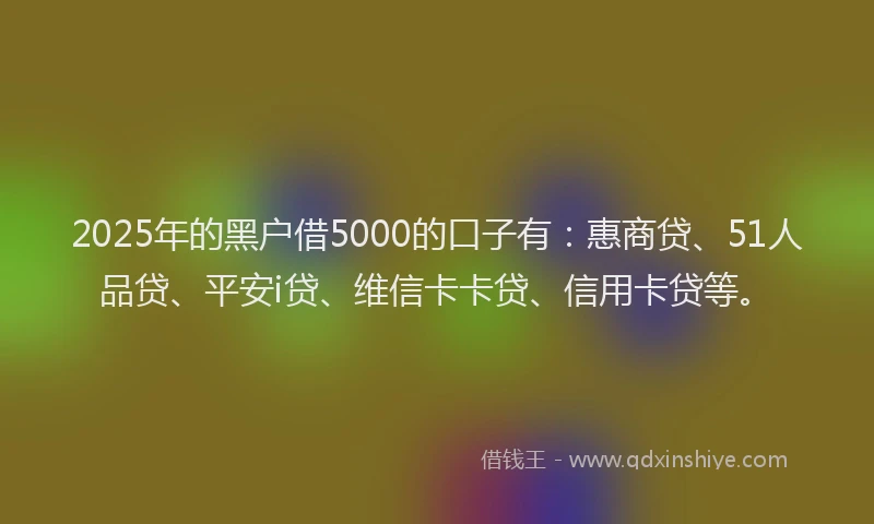 2025年的黑户借5000的口子有：惠商贷、51人品贷、平安i贷、维信卡卡贷、信用卡贷等。
