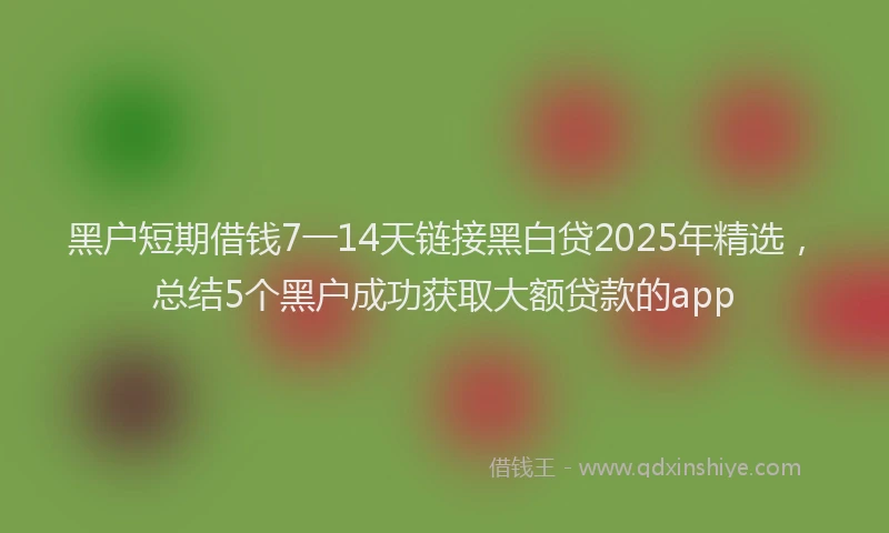 黑户短期借钱7一14天链接黑白贷2025年精选，总结5个黑户成功获取大额贷款的app